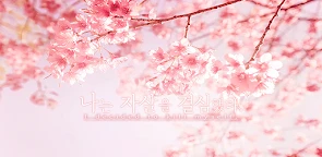 我決定結束生命