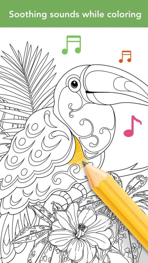 Colorfit - 繪畫塗色本