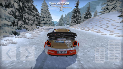 Rally Car racing PRO