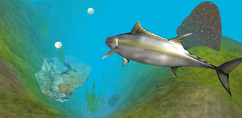 Blue Whale Survival Challenger