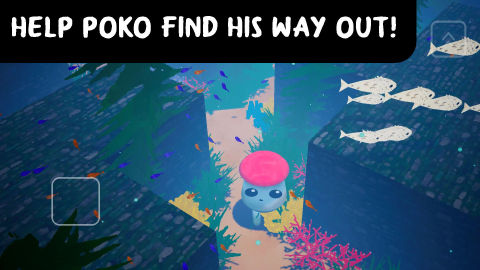 3D Maze: POKO's Adventures