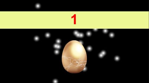 Tamago Golden Egg