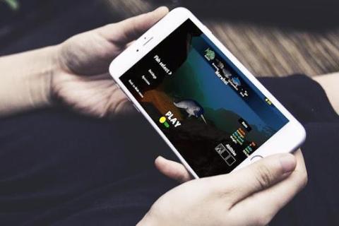 Fish : Feed To Become Grow