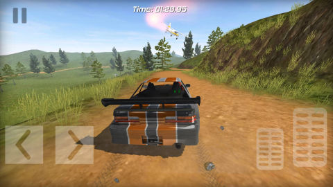 Rally Car racing PRO