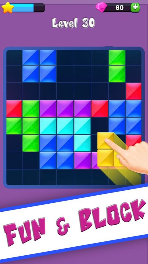 Brick Puzzle Block Game