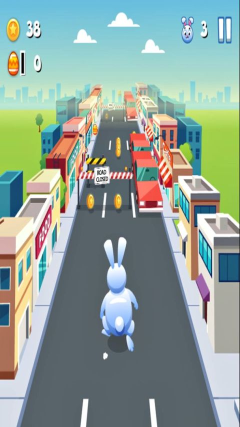 Giant Rabbit Run