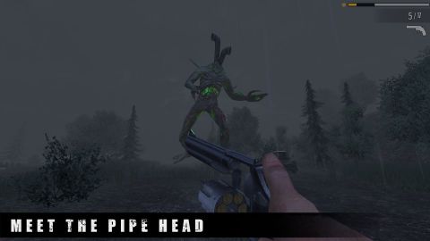 PIPE HEAD STORY