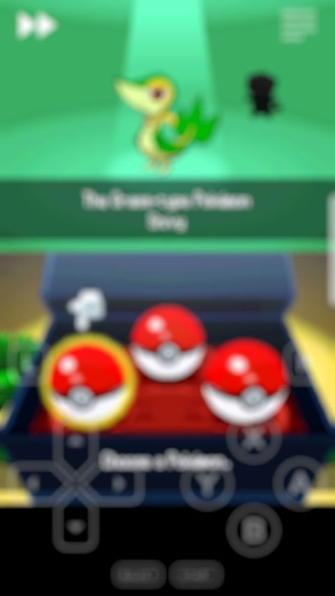 white nds (emulator)