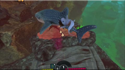 Feed and grow : christmas fish