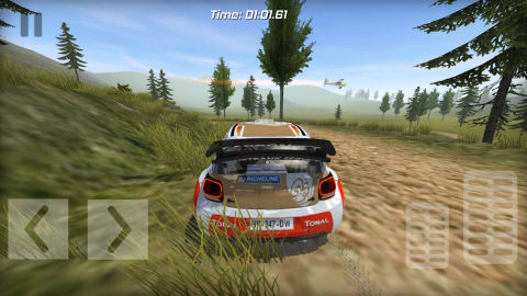 Rally Car racing PRO
