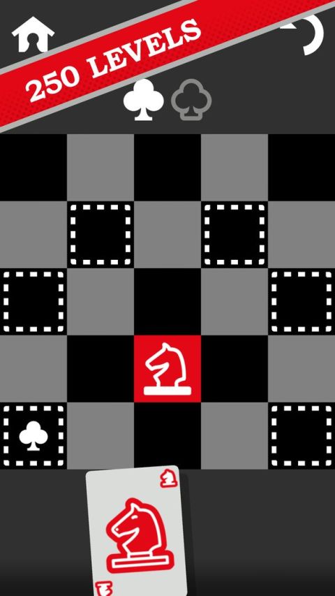 Chess Ace Puzzle