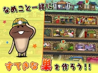 菇菇巢穴 | 日版