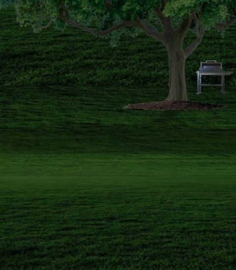 脫出ゲーム　InWonderland