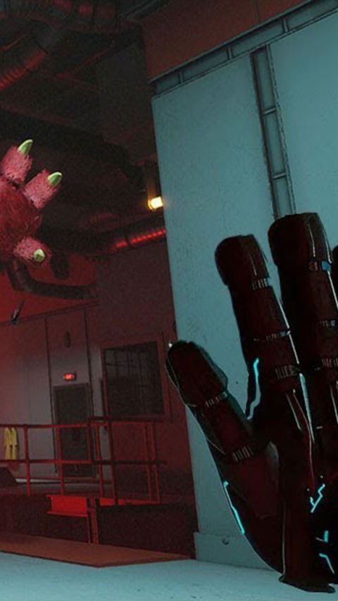 Project Playtime Survive Game