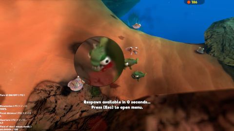 Hints for fish feed and grow