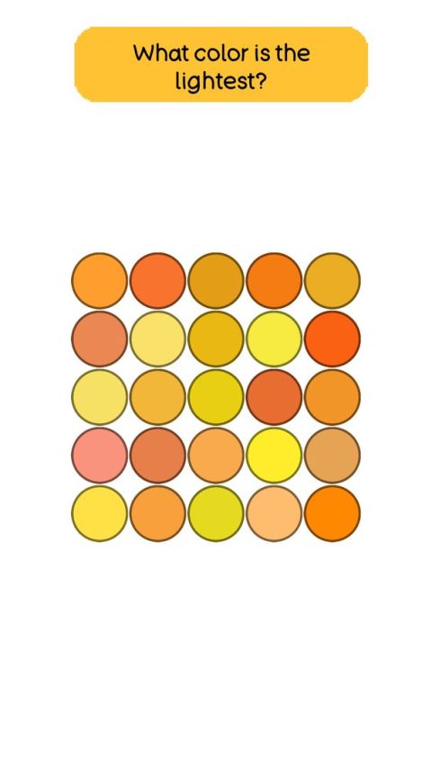 Brain Puzzle - Tricky Test