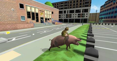 Amazing Frog : Poket Frogs