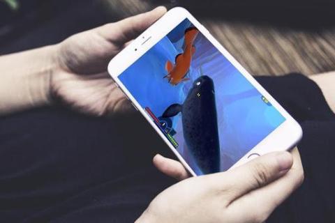 Fish : Feed To Become Grow