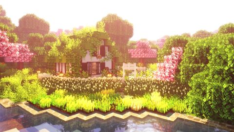 Block Pixelart Rain Robo