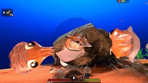 Hints for fish feed and grow