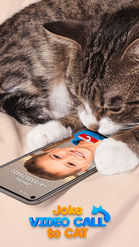 Joke Video Call to Cat