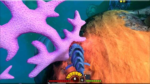 feed and grow - fish