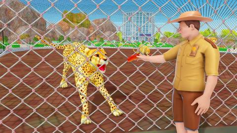 City Magic Zoo: Jungle Safari