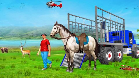 Animal Transport: Truck Game