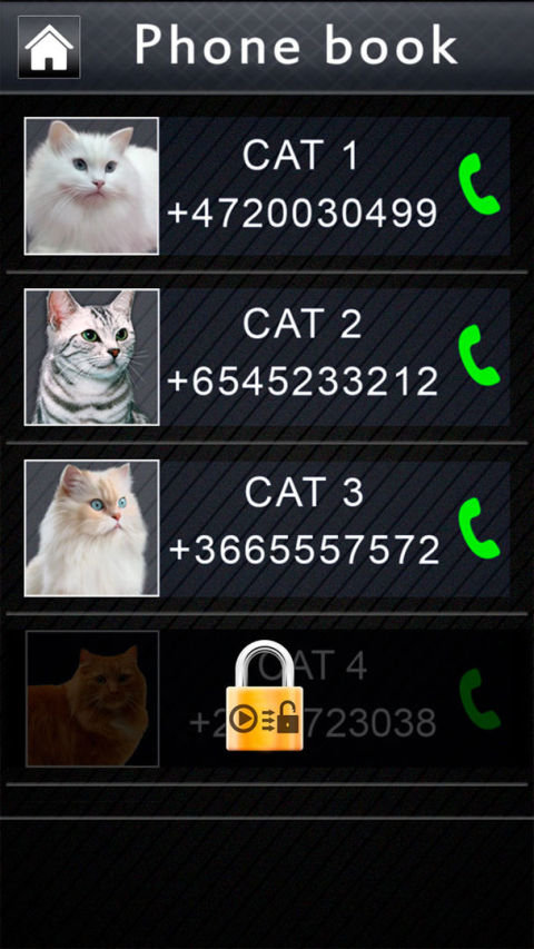 Joke Video Call to Cat