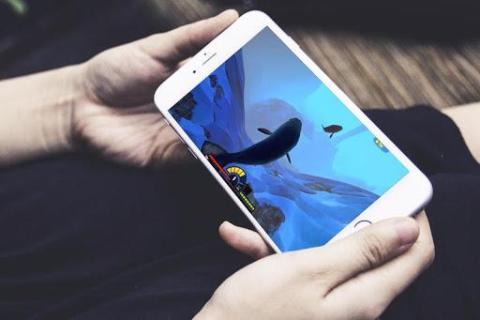 Fish : Feed To Become Grow