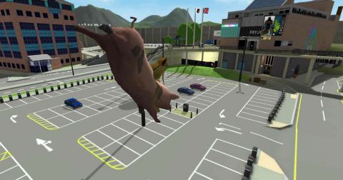 Amazing Frog : Poket Frogs