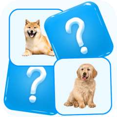 Match Picture Memory Game