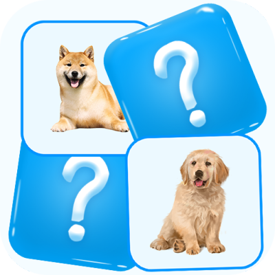 Match Picture Memory Game