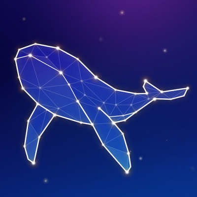 Linepoly Puzzle - Constellation games