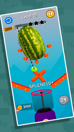 Good Fruit Slice: Fruit Chop Slices