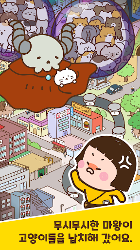 캣브레인  CatBrain