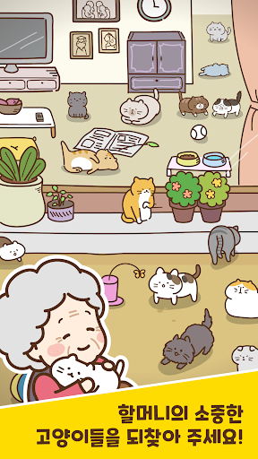 캣브레인  CatBrain