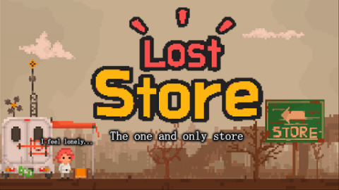 LostStore