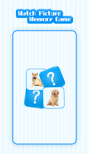 Match Picture Memory Game