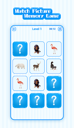 Match Picture Memory Game