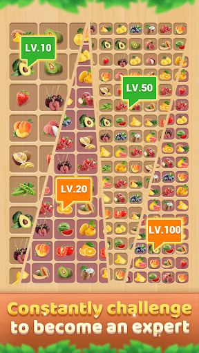 Wood Block - Connect Puzzle